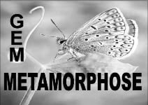GEM Métamorphose